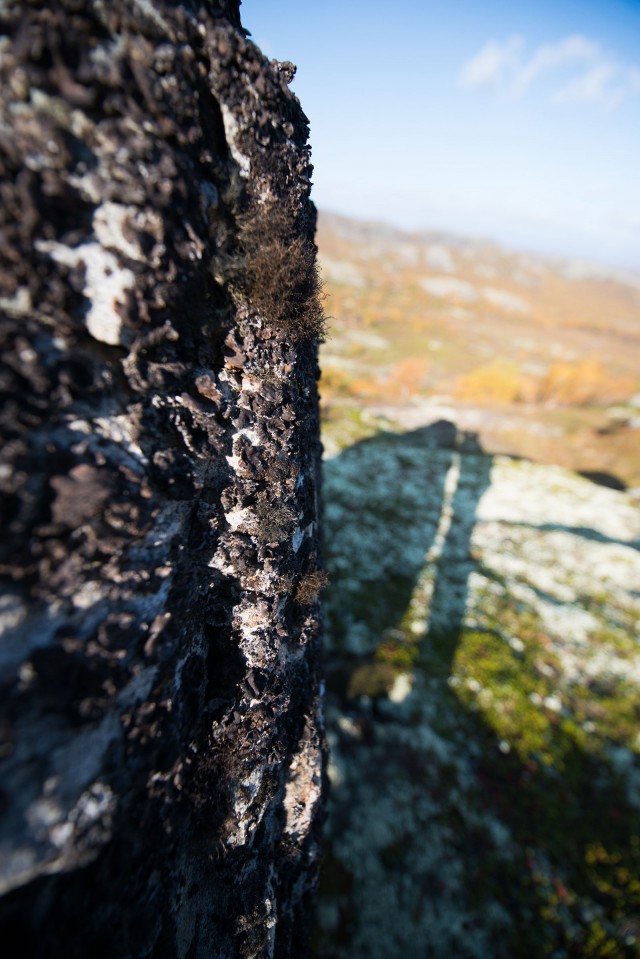 Поездка на Кольский полуостров.