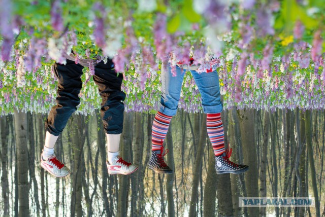 Подборка картинок