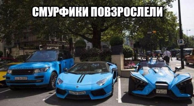 Порция картинок из сети