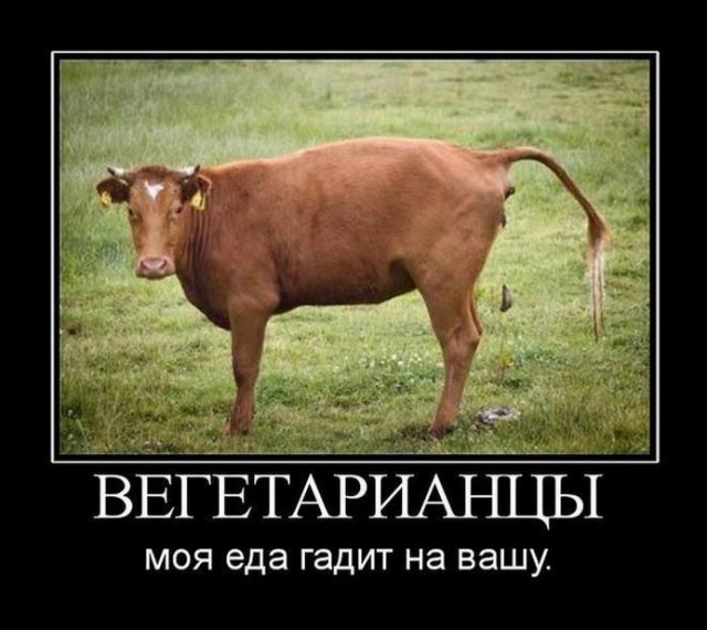Отказалась употреблять рвоту пчел
