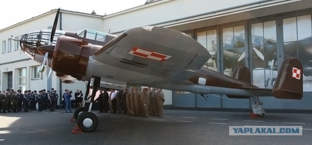 Польский штурмовик