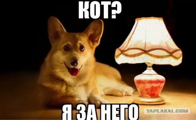 Чудо по имени Катя