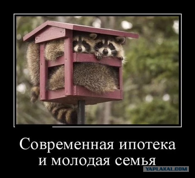 +30 жизненных историй про ипотеку