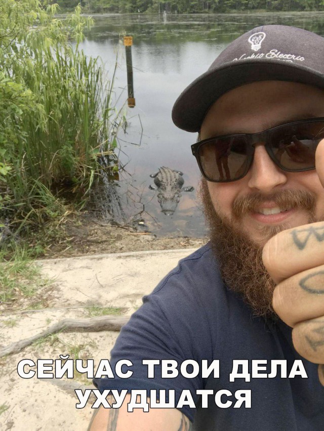 Подборка интересных и веселых картинок
