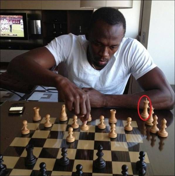 Прикольные картинки 14.06.2017.