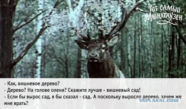 Тот самый Мюнхгаузен...