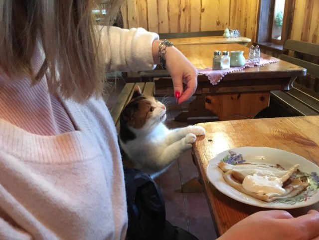 Январское путешествие в "Европу"