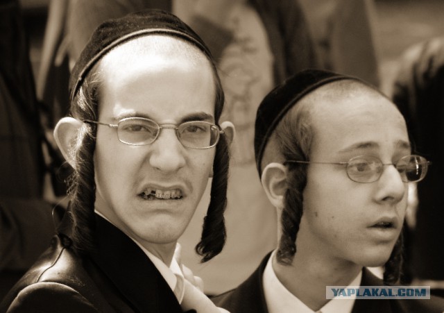 Израильский депутат провозгласил верховенство "еврейской расы", назвав её ”высшим человеческим капиталом"