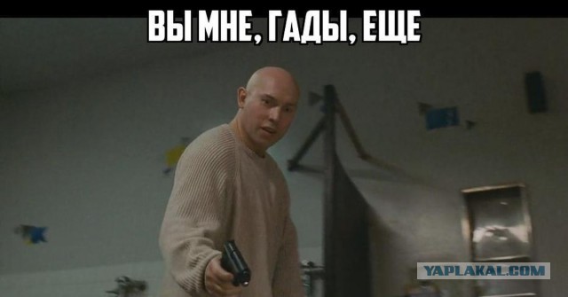 Почему монголы ненавидят кошек