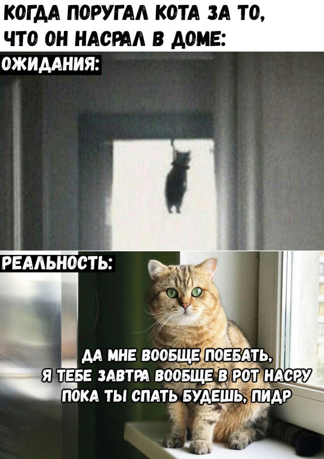 Подборка интересных и веселых картинок