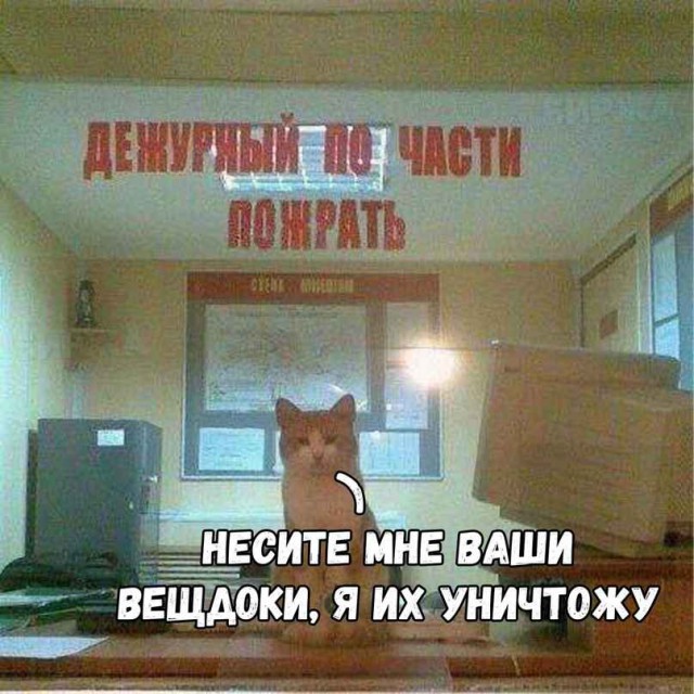 Немного картинок в этот четверг
