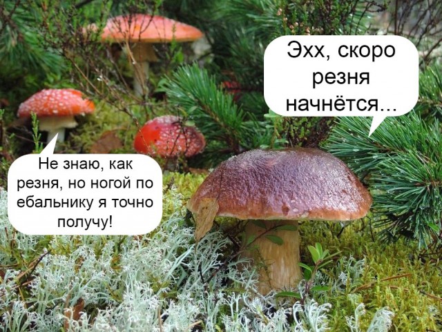 Немного веселых картинок из этих наших интернетов