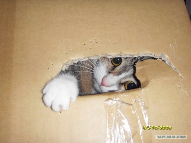Кошмарный монстр