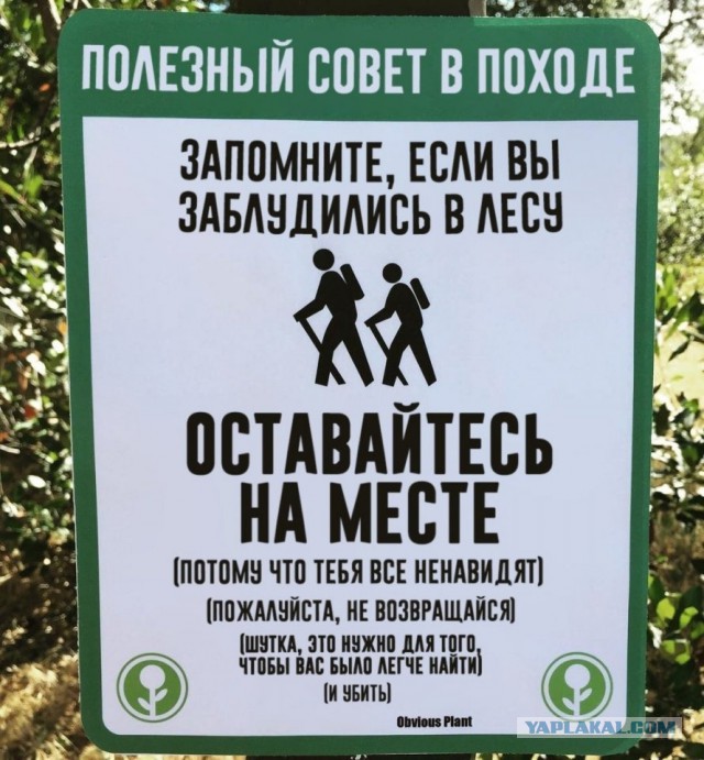 Картинки юморные и тексты