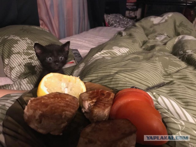 Втоник же