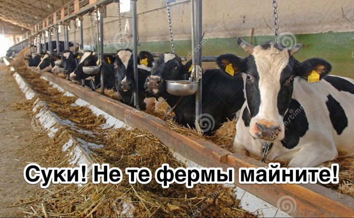 Криптоинвентарь распродают. Как изменится курс биткоина