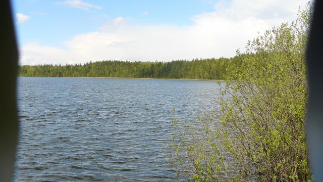 Соскучился по рыбалке
