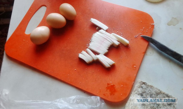 Кулинария для начинающих