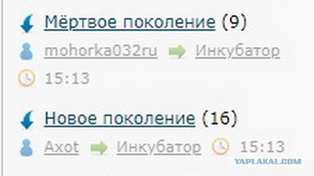 Кадры скверного происшествия: двое маленьких хулиганов поджигают венки на воинском мемориале возле Вечного огня.