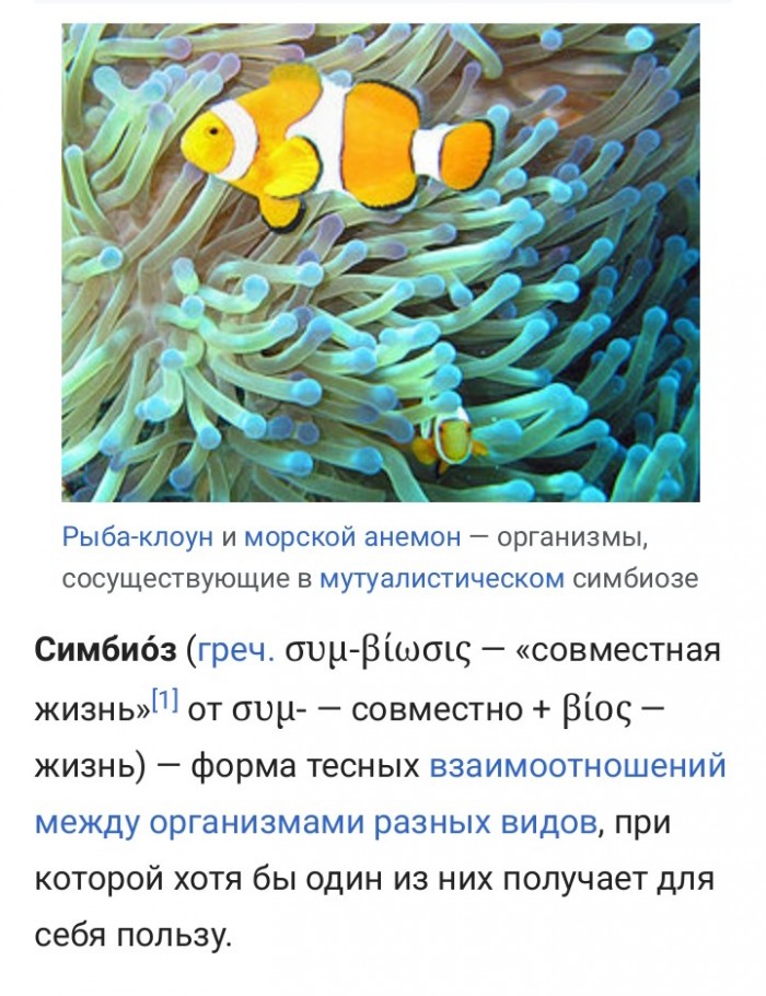 Чуток картинок! 20.12.19