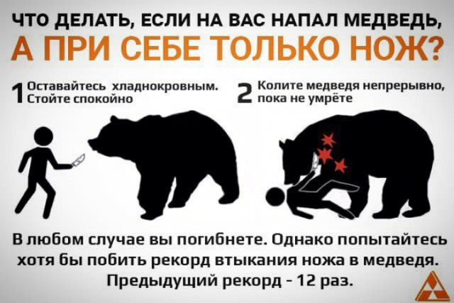 ​​Что делать, если под твоим окном белые медведи пытаются сожрать мужика?