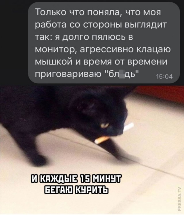 Немного картинок для настроения 11.11.20