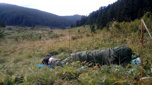 На конягах по Алтаю