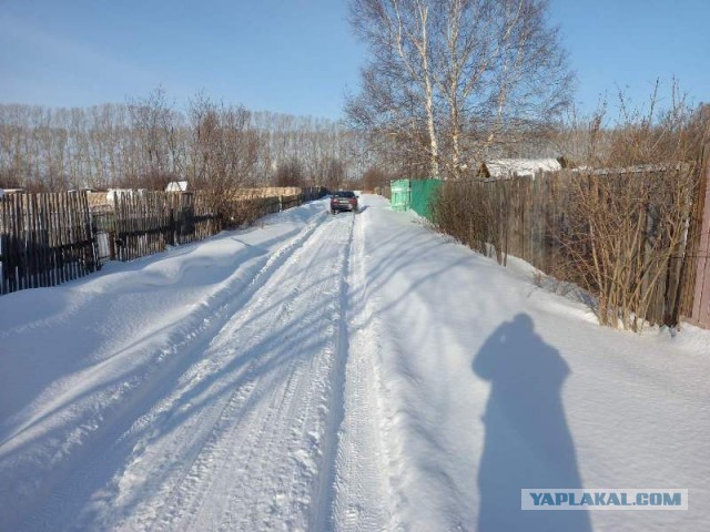 Купил участок в садовом обществе