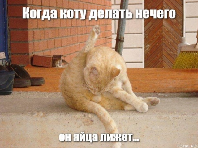 Чувак заменил колёса велосипеда на диски циркулярной пилы. Получился «ледосипед»