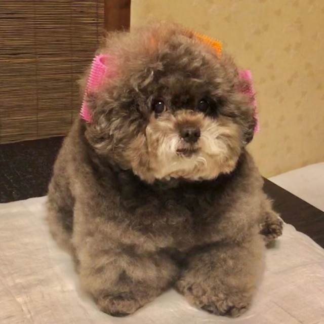 Добрые картинки 28.11.20