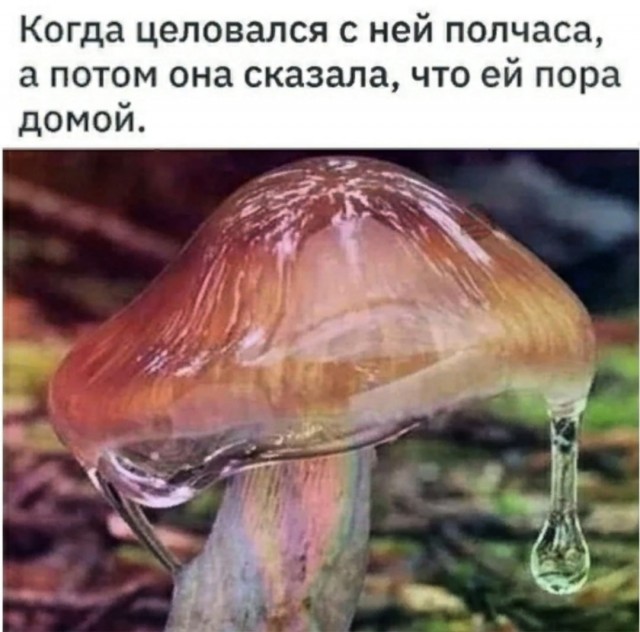 Пятница. И немного слегка пошлых картинок с надписями и без 16+ (28.05)