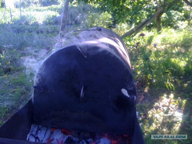 Все из рыбы!