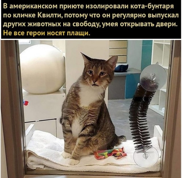 Картинки с надписями и всякие жизненные фразы 6.07.21