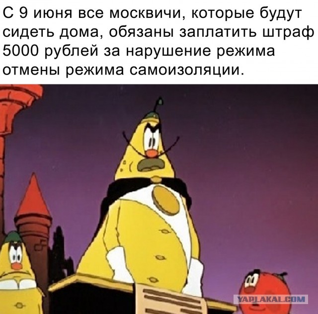 В связи с пандемией в России отменены все массовые мероприятия — Роспотребнадзор