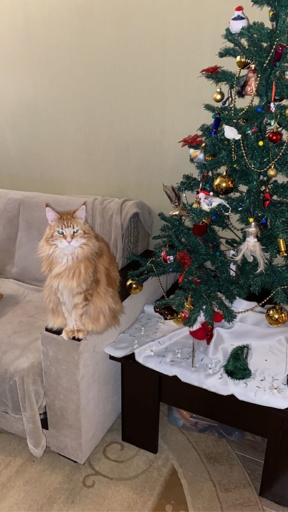 Поздравьте меня