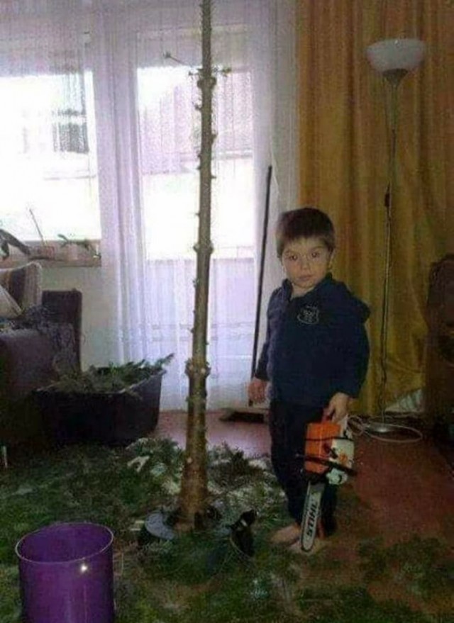 Картинки на 30.12.2021