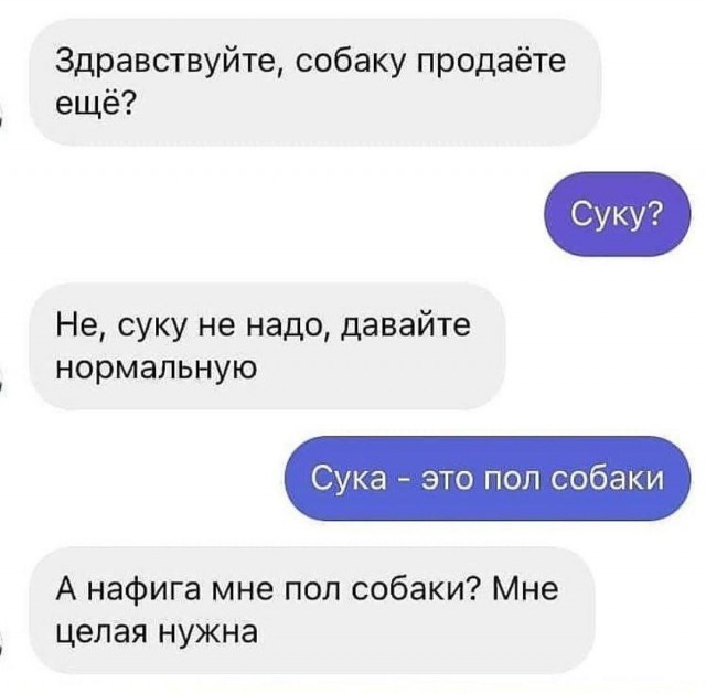 Всяческие картинки 10.01.2022
