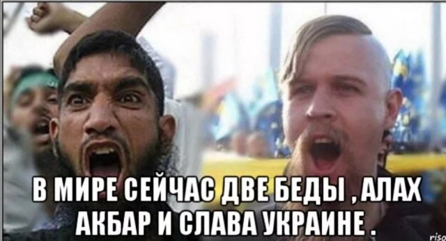 Беженцы из Украины в Германии