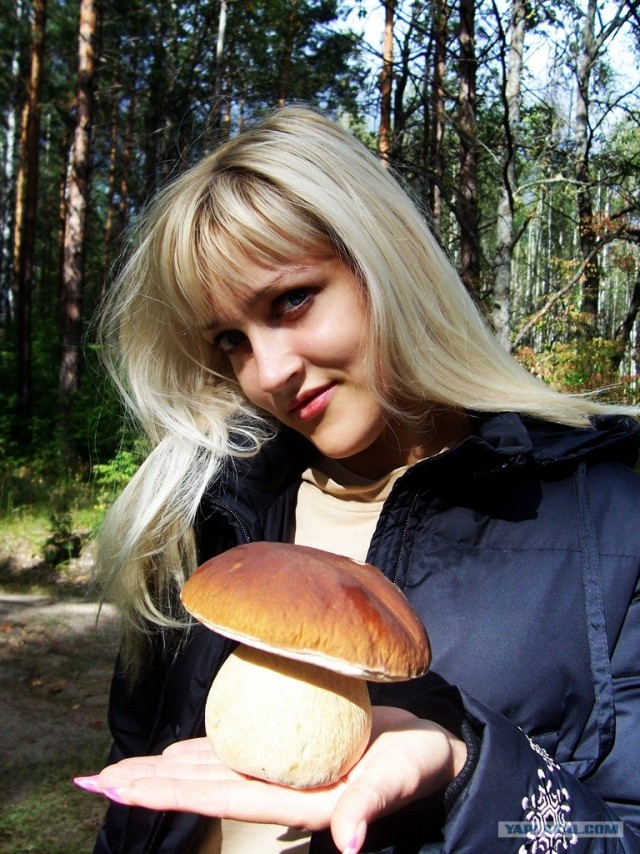 Грибные места
