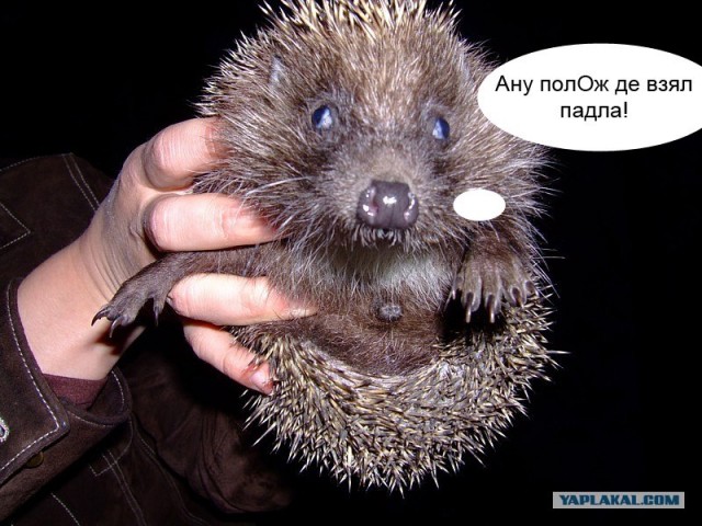 Отголоски II мировой войны
