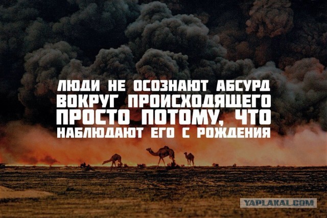 Пандемия. Коронавирус и съехавшие крыши. Россия и мир. Часть 35