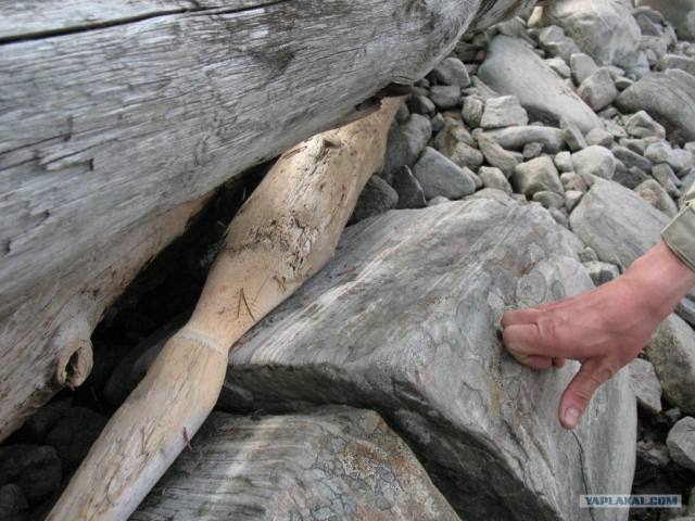 Кольский полуостров