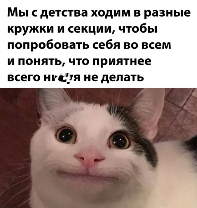 Картинки и мемы для настроения. Выходные рядышком...