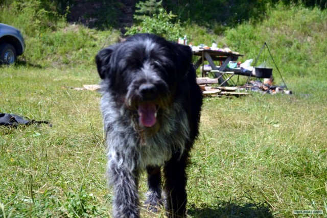 Отдых по-русски.