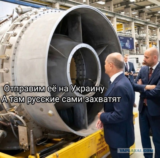 Весёлый полтишок 08.08.22
