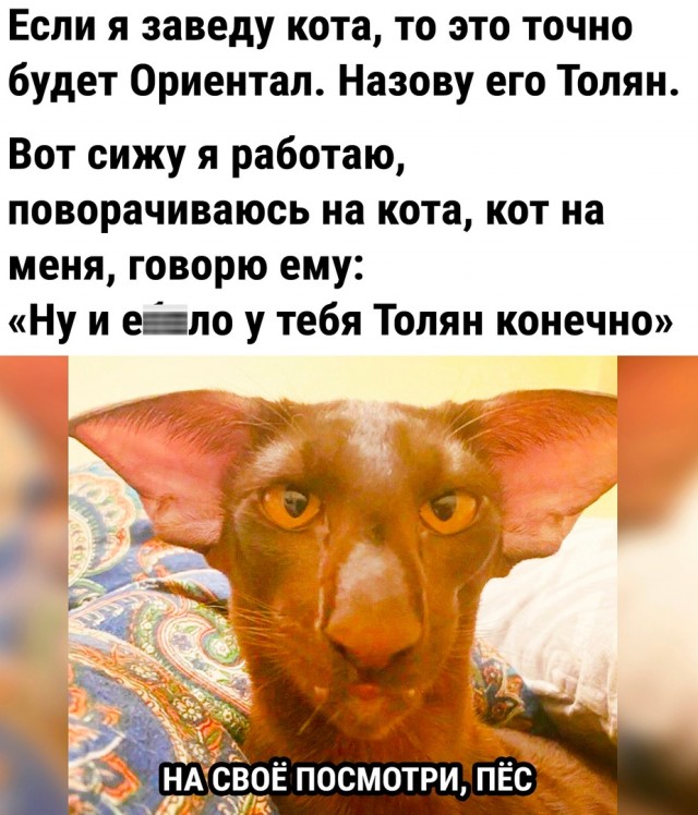 Так себе картинки 17.09.22