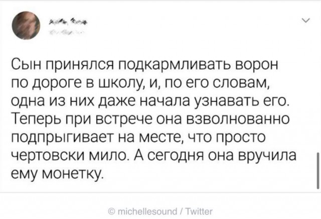 Картинки и мемы. Выходные близко...