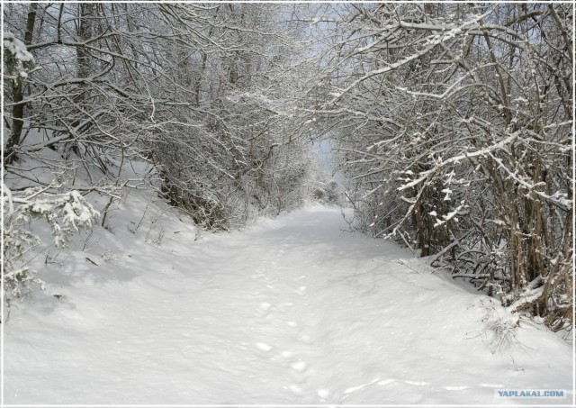 Крым. Терновка. Зимние дороги.