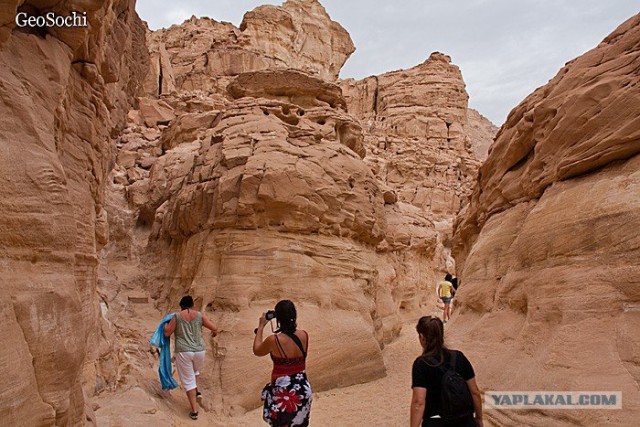 Синайские приключения. Шарм-эш-Шейх и окресности
