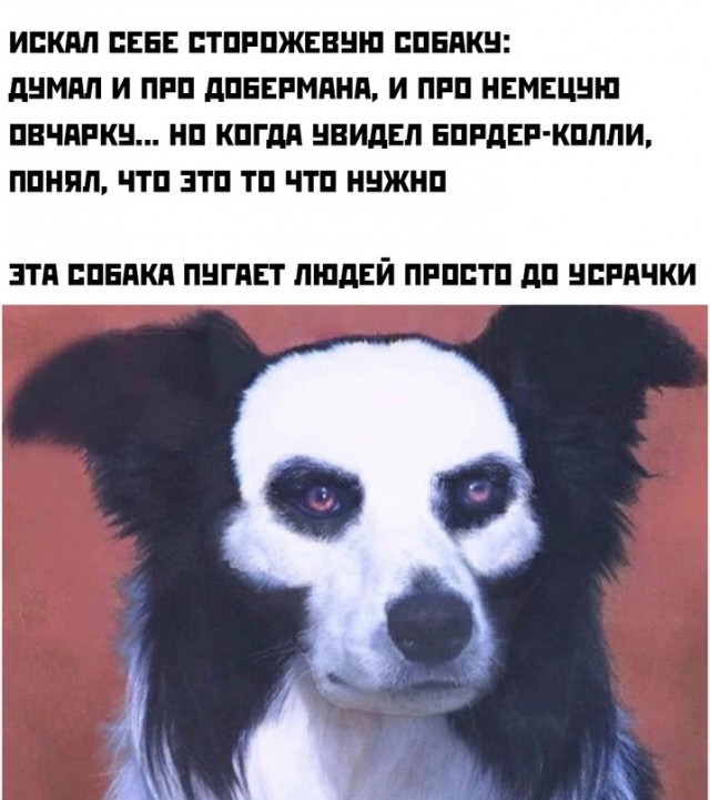 Весёлый полтишок 07.01.23